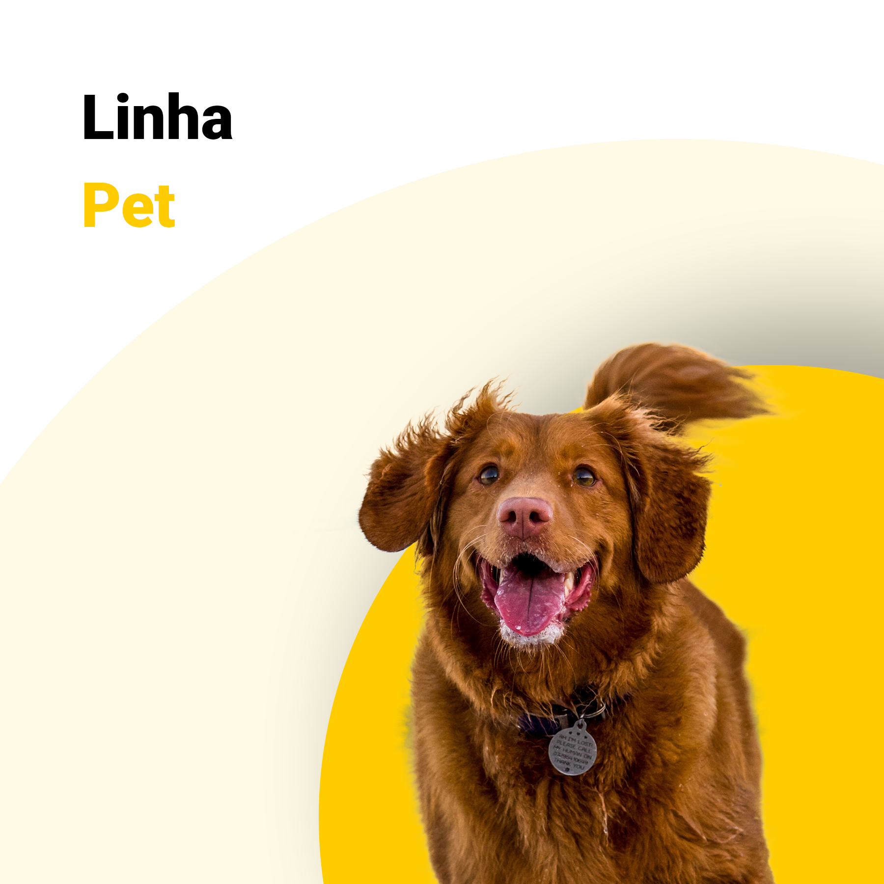 Linha Pet